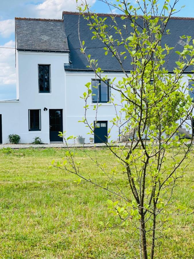 La Grange Du Pigeonnier Authenticity And Gentleness 10 Minutes From Tours Vila La Riche Exterior foto